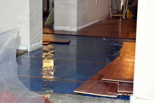 Professional Burst Pipe Cleanup technician working in Janesville, WI